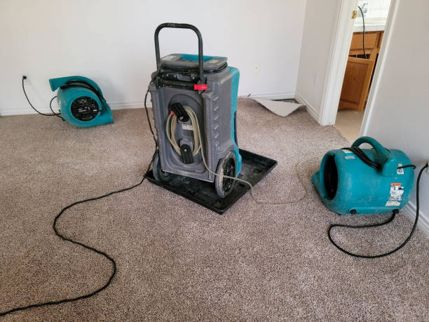 Best Basement water damage restoration  in Riverbend, WA