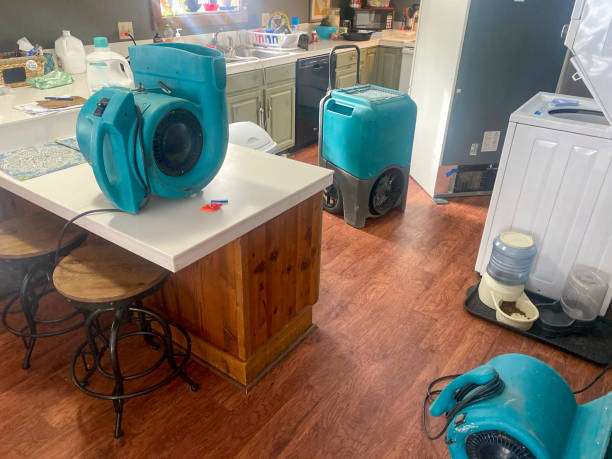 Best Residential water damage restoration  in Riverbend, WA