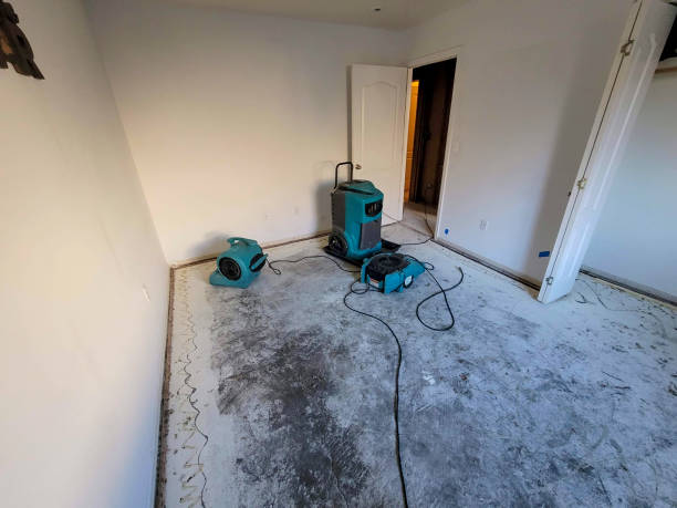 Best Flood restoration services  in Riverbend, WA