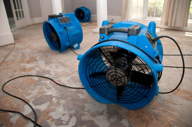Best Ceiling water damage repair  in Riverbend, WA