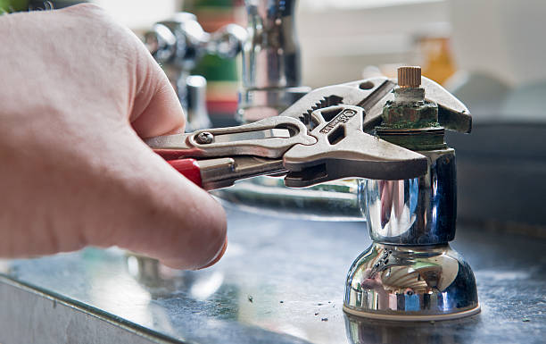 Best Mold removal after water damage  in Riverbend, WA