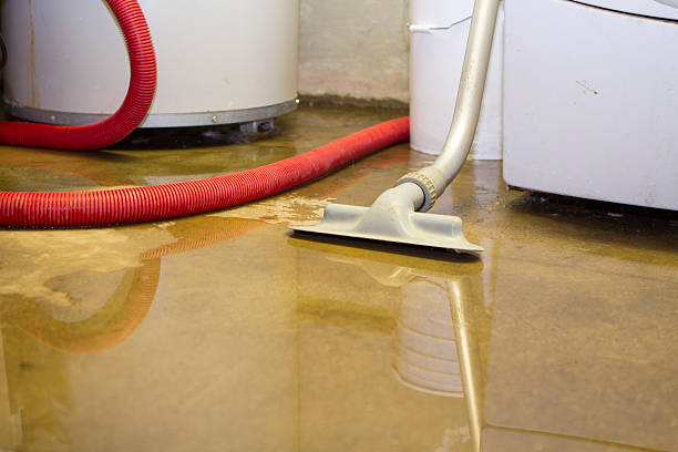Best Water damage contractors near me  in Riverbend, WA