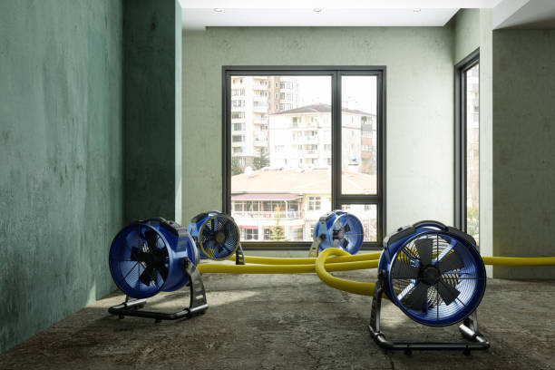 Best Sewage cleanup and water damage restoration  in Riverbend, WA